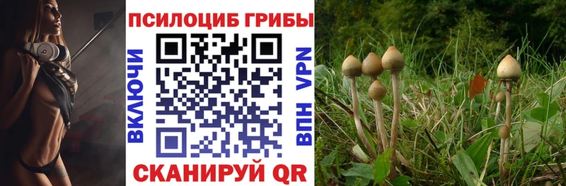 Галлюциногенные грибы Cubensis OMG ONION Карталы